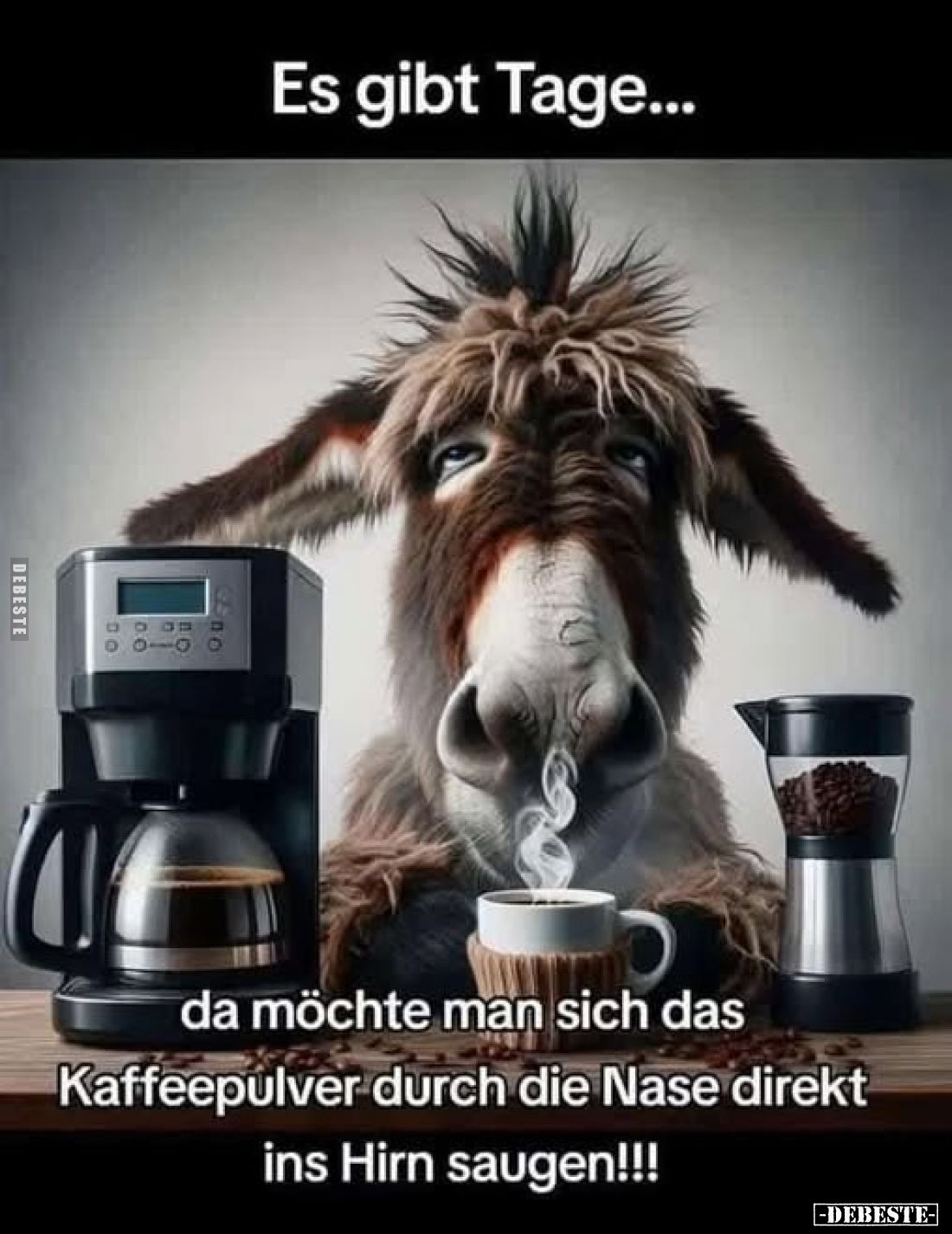 Es gibt Tage... da möchte man sich das Kaffeepulver durch die Nase direkt ins Hirn saugen!!!