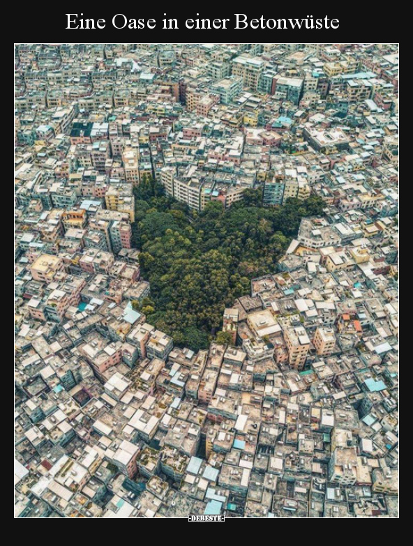 Eine Oase in einer Betonwüste..