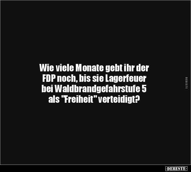 Wie viele Monate gebt ihr der FDP noch, bis sie Lagerfeuer.. - Lustige Bilder | DEBESTE.de