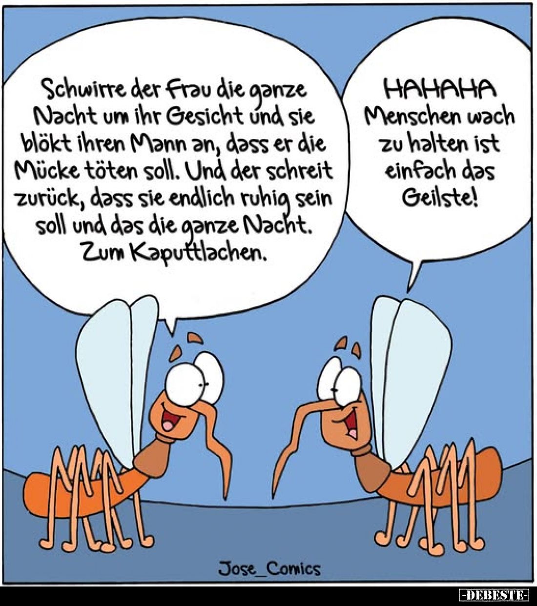 Schwirre der Frau die ganze Nacht um ihr Gesicht und sie blökt ihren Mann an, dass er die Mücke töten soll.
Und der schreit ...
