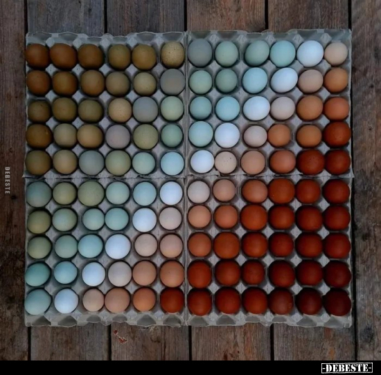  - Lustige Bilder | DEBESTE.de