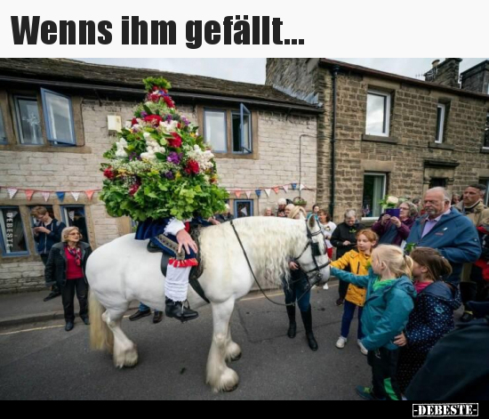 Wenns ihm gefällt...