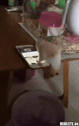 Das hätte ich nicht gedacht..