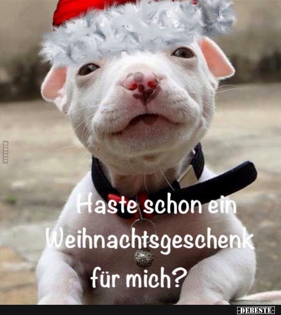 Haste schon ein Weihnachtsgeschenk für mich? - Lustige Bilder | DEBESTE.de