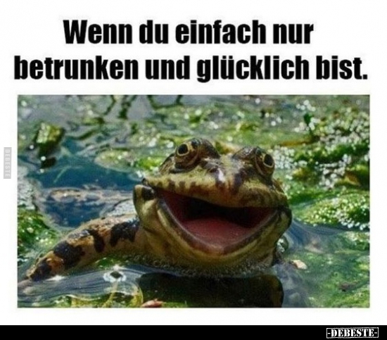 Wenn du einfach nur betrunken und glücklich bist.. - Lustige Bilder | DEBESTE.de