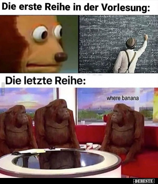 Die erste Reihe in der Vorlesung.. - Lustige Bilder | DEBESTE.de