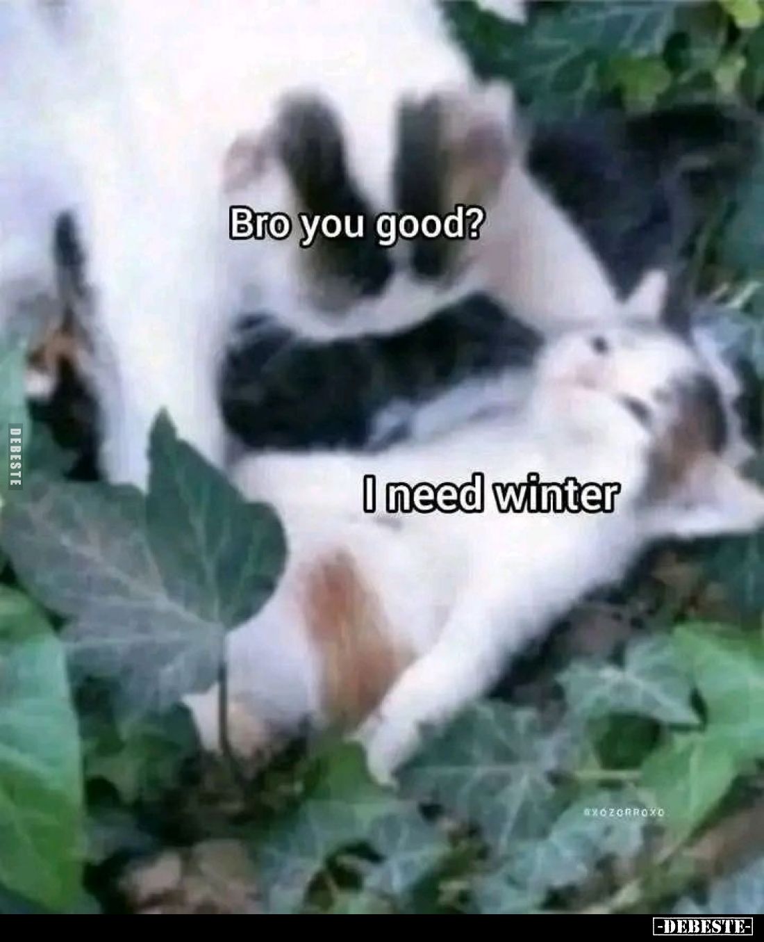 Bro you good?
 - 
I need winter
