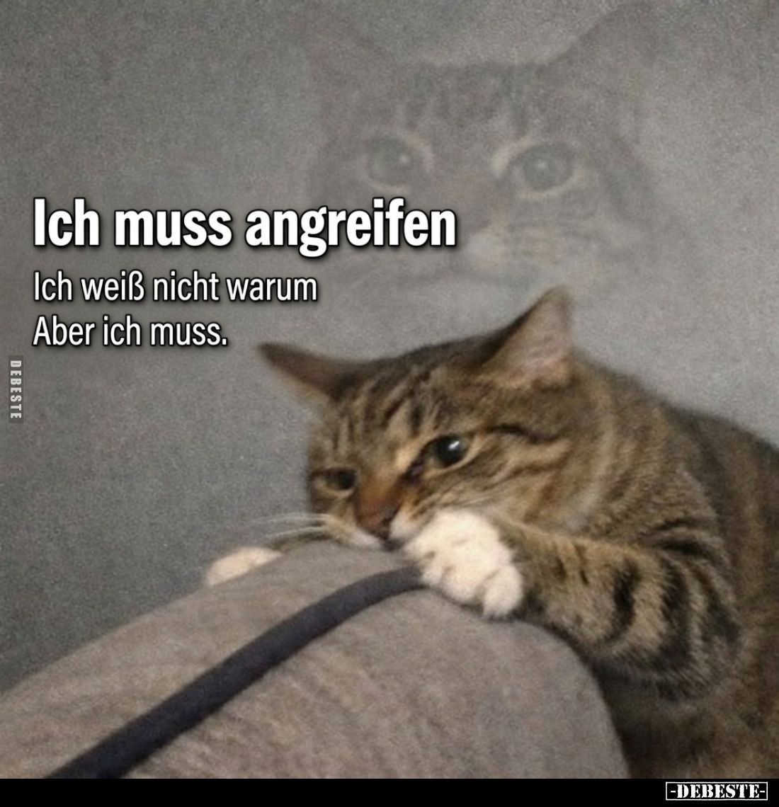 Ich muss angreifen -
Ich weiß nicht warum -
Aber ich muss.