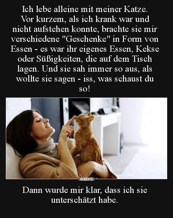 Lustige Bilder zum Thema: Katze