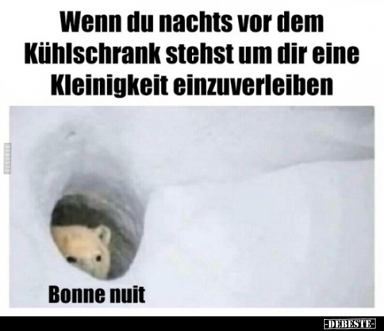 Wenn du nachts vor dem Kühlschrank stehst um dir eine..