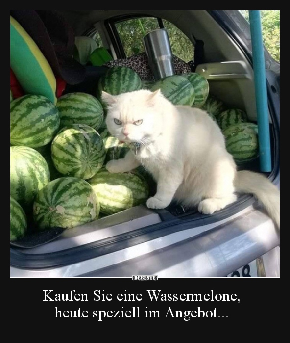 Kaufen Sie eine Wassermelone, heute speziell im.. - Lustige Bilder | DEBESTE.de