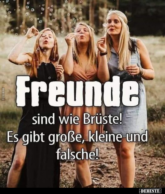 Freunde sind wie Brüste! Es gibt große, kleine und falsche!