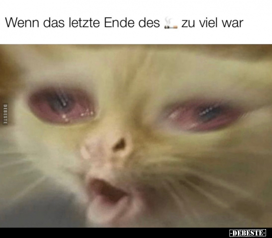 Wenn das letzte Ende war.