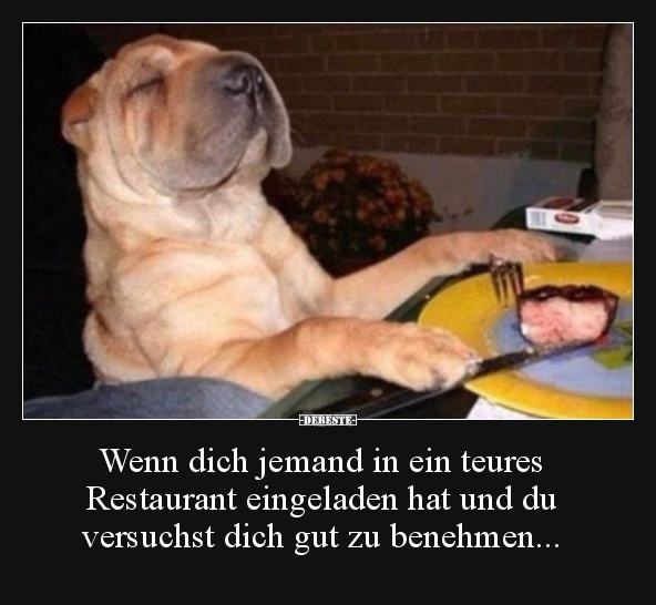 Wenn dich jemand in ein teures Restaurant eingeladen hat..