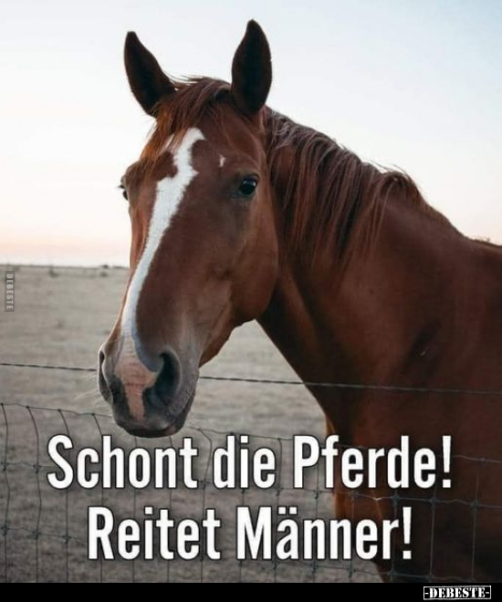 Schont die Pferde! Reitet Männer!.. - Lustige Bilder | DEBESTE.de