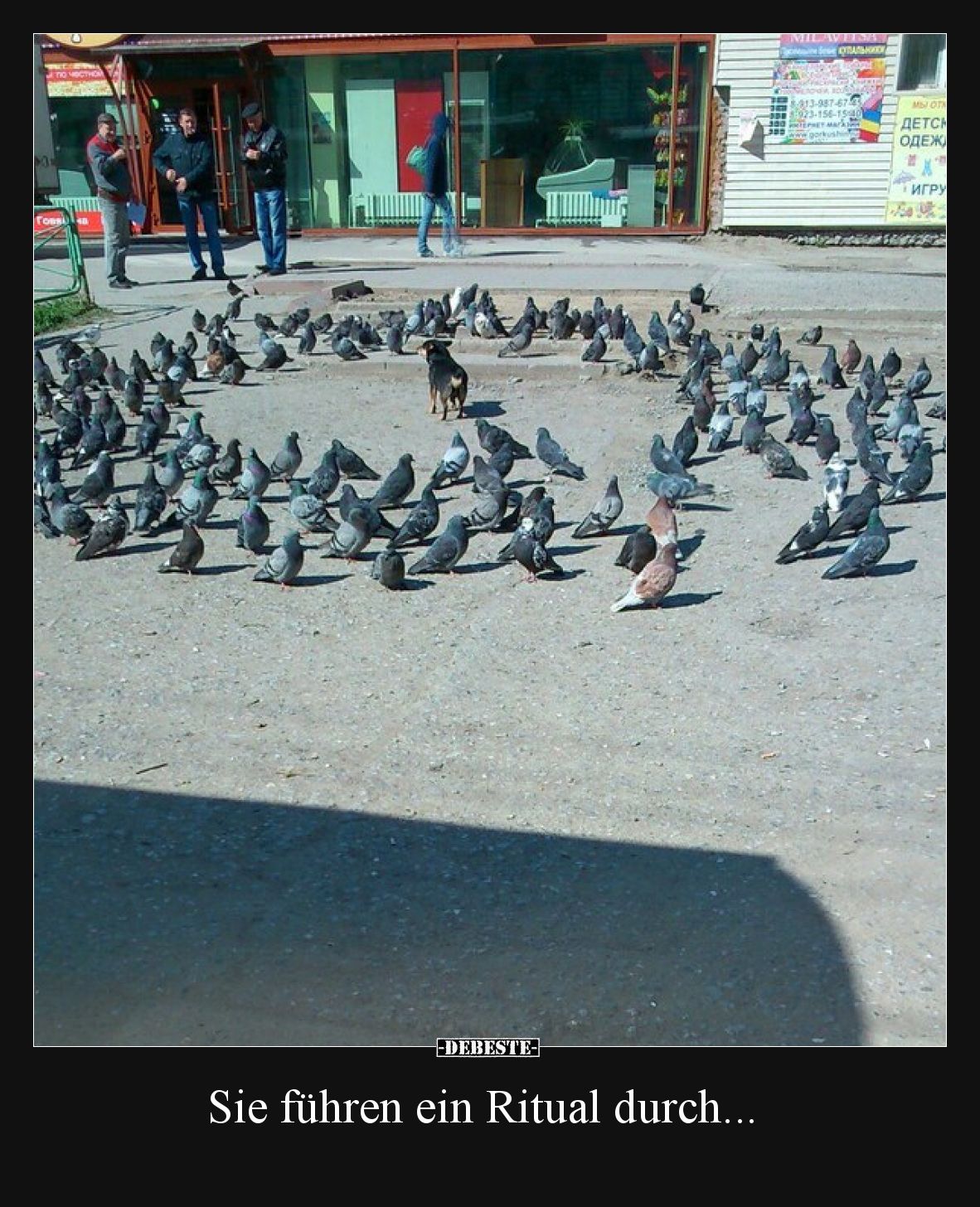 Sie führen ein Ritual durch... - Lustige Bilder | DEBESTE.de
