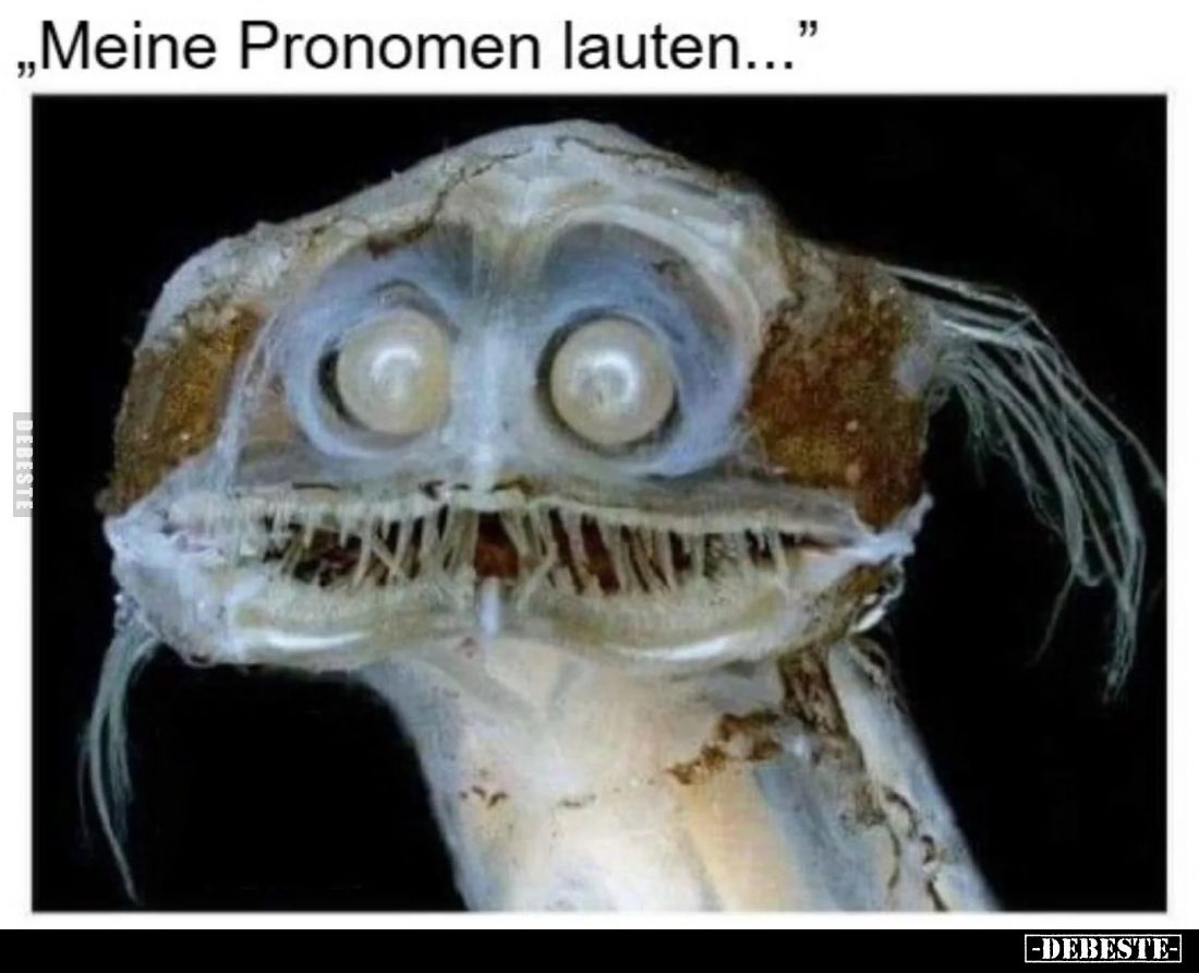 Meine Pronomen lauten.