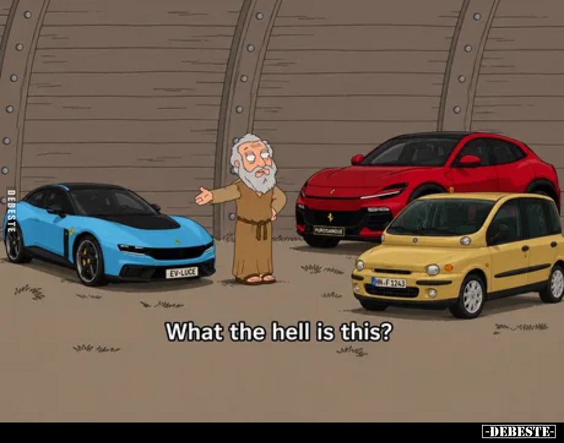 What the hell is this?