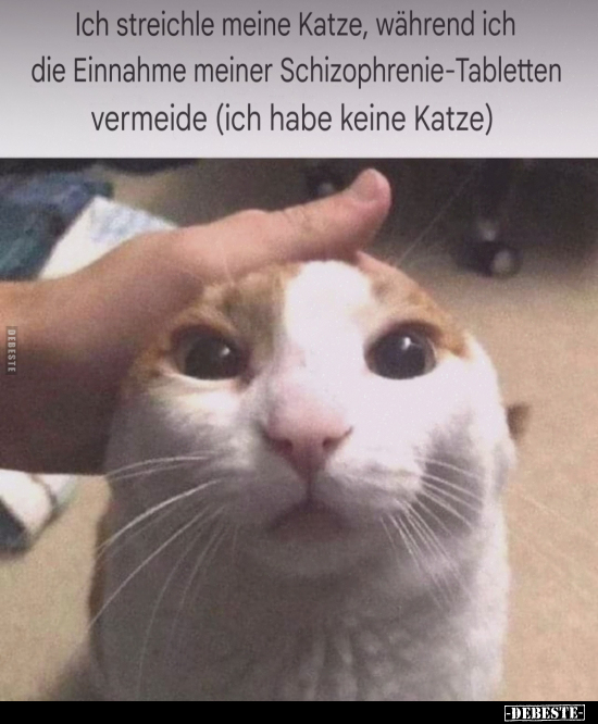 Ich streichle meine Katze.. - Lustige Bilder | DEBESTE.de