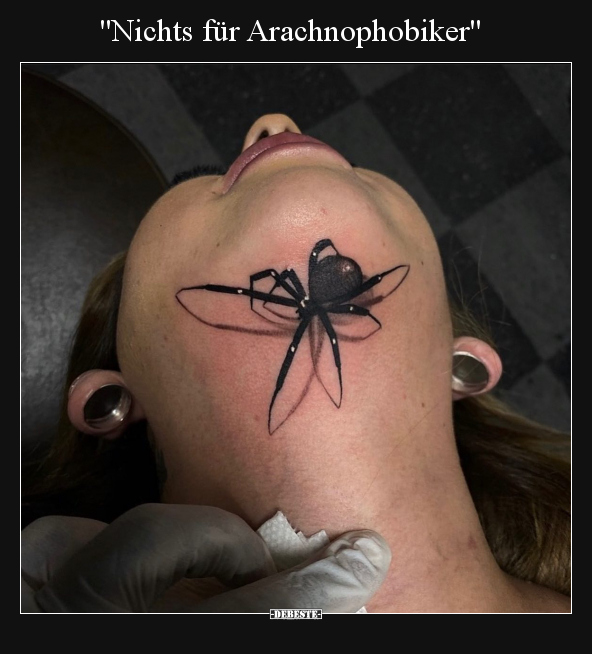 "Nichts für Arachnophobiker".. - Lustige Bilder | DEBESTE.de