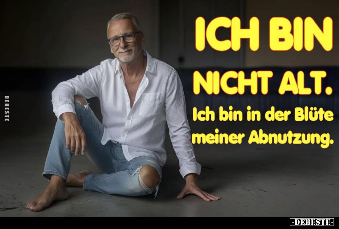 Ich bin
nicht alt.
Ich bin in der Blüte meiner Abnutzung.