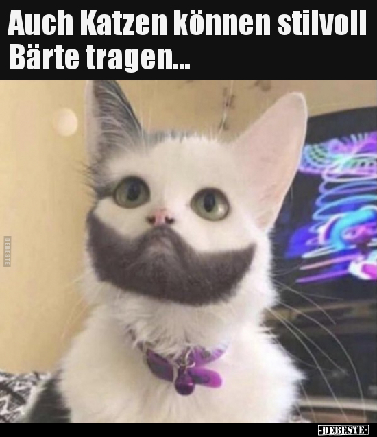 Auch Katzen können stilvoll Bärte tragen... - Lustige Bilder | DEBESTE.de