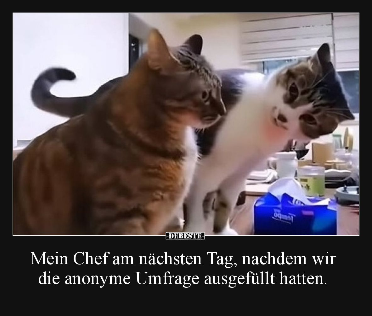 Mein Chef am nächsten Tag, nachdem wir die anonyme Umfrage.. - Lustige Bilder | DEBESTE.de
