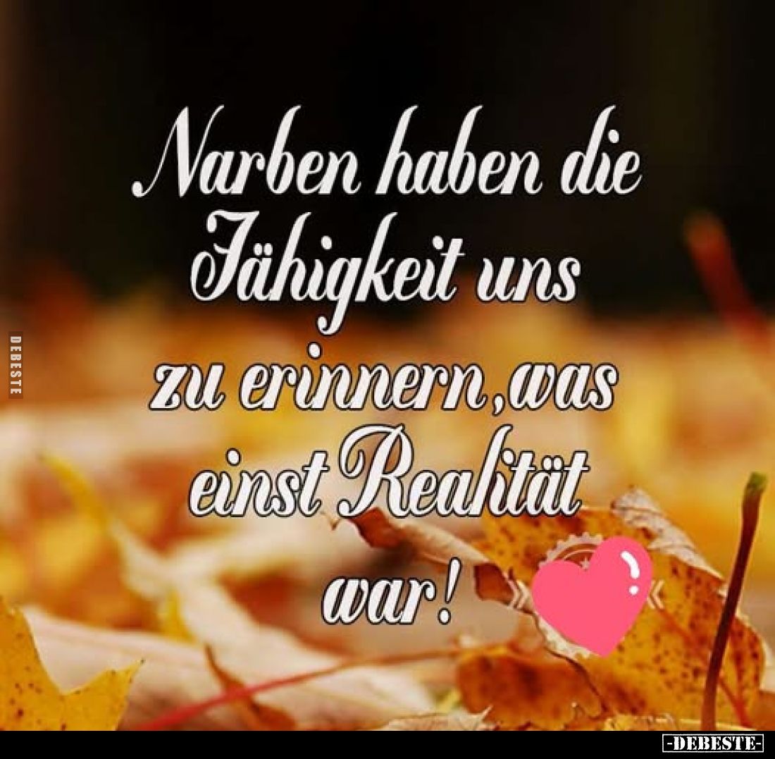 Narben haben die Fähigkeit uns zu erinnern, was einst Realität war!