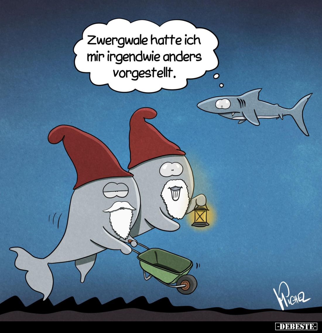 Zwergwale hatte ich mir irgendwie anders vorgestellt.