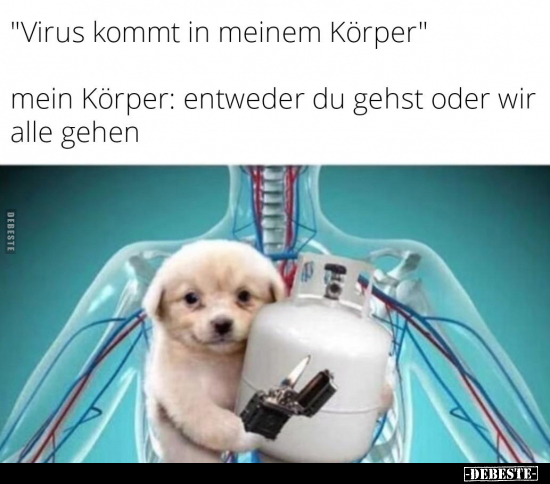 "Virus kommt in meinem Körper"...Mein Körper: entweder du.. - Lustige Bilder | DEBESTE.de