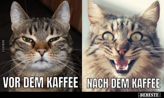 Vor dem Kaffee - Nach dem Kaffee.. - Lustige Bilder | DEBESTE.de