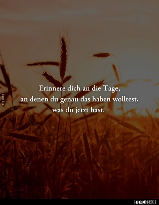 Erinnere dich an die Tage, an denen du genau das haben.. - Lustige Bilder | DEBESTE.de