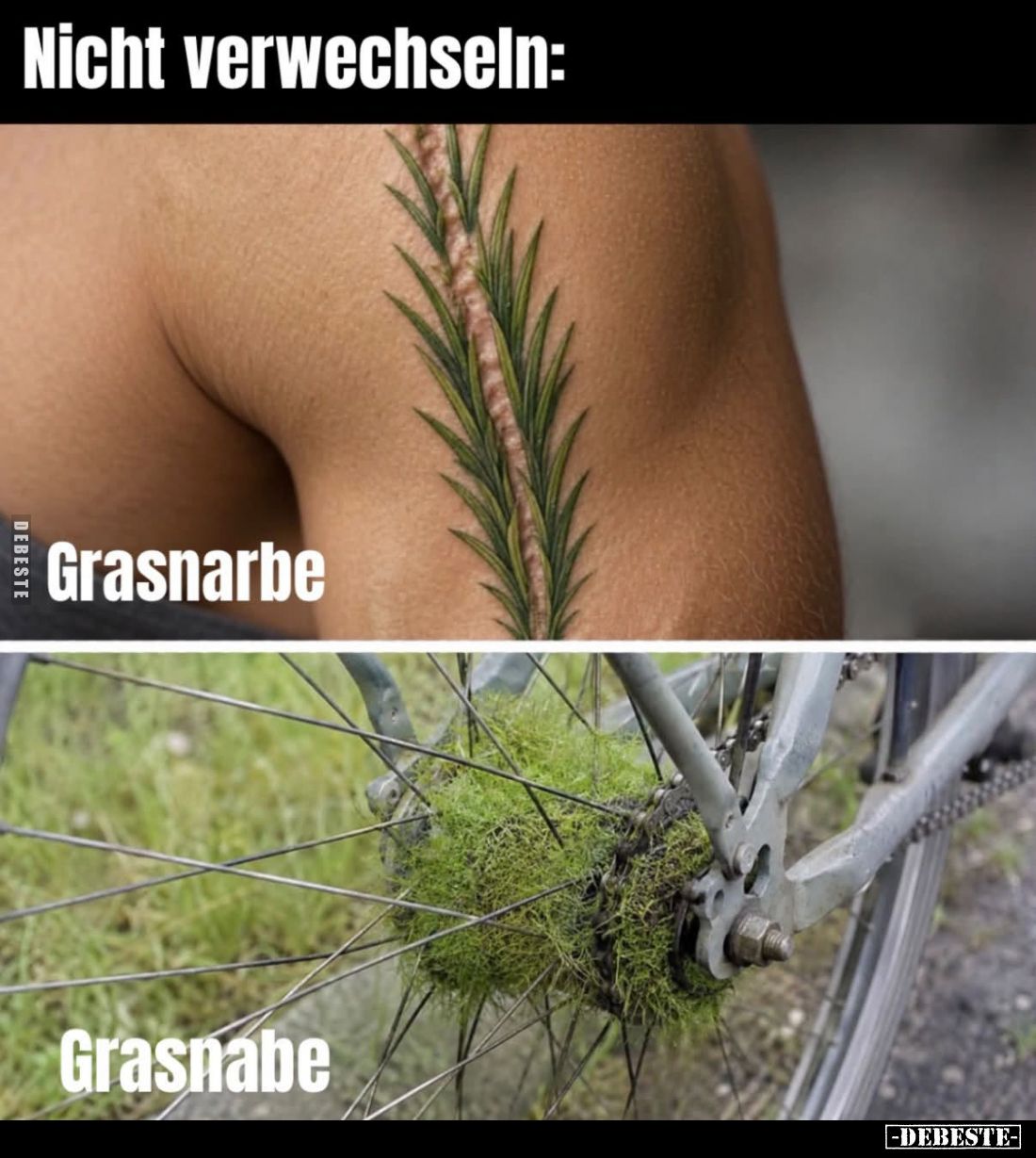 Nicht verwechseln:
Grasnarbe
vs
Grasnabe.