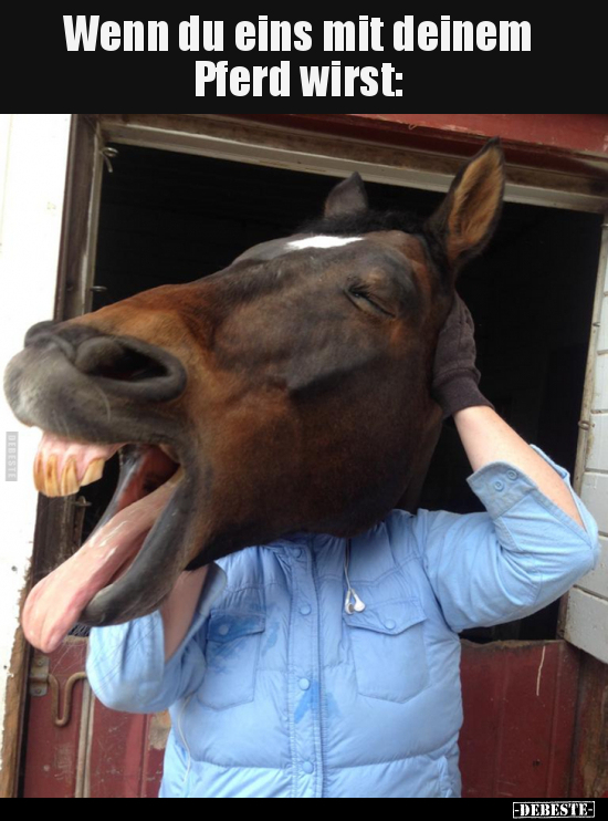 Wenn du eins mit deinem Pferd wirst.. - Lustige Bilder | DEBESTE.de