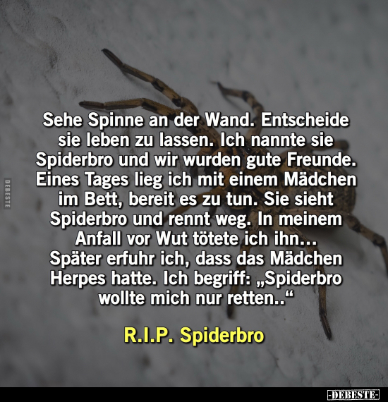 Sehe Spinne an der Wand.. - Lustige Bilder | DEBESTE.de