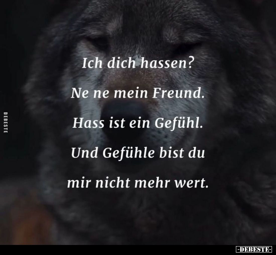 Ich dich hassen?
Ne ne mein Freund.
Hass ist ein Gefühl.
Und Gefühle bist du mir nicht mehr wert.