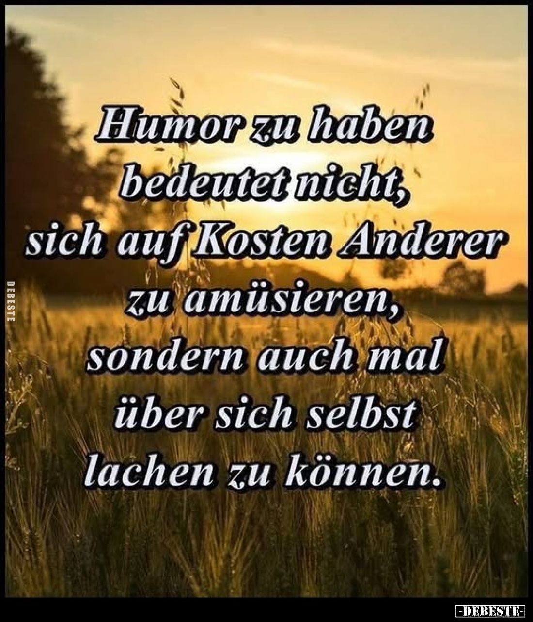 Humor zu haben bedeutet nicht, sich auf Kosten Anderer zu amüsieren.. - Lustige Bilder | DEBESTE.de