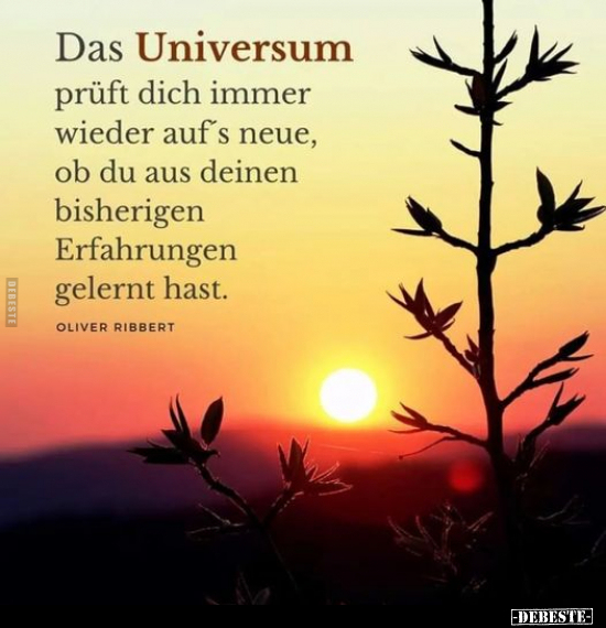 Das Universum prüft dich immer wieder auf's neue, ob du aus.. - Lustige Bilder | DEBESTE.de