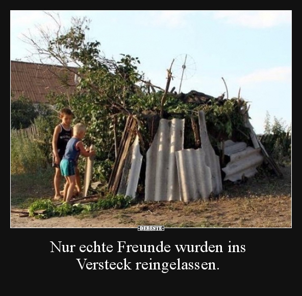 Nur echte Freunde wurden ins Versteck reingelassen... - Lustige Bilder | DEBESTE.de