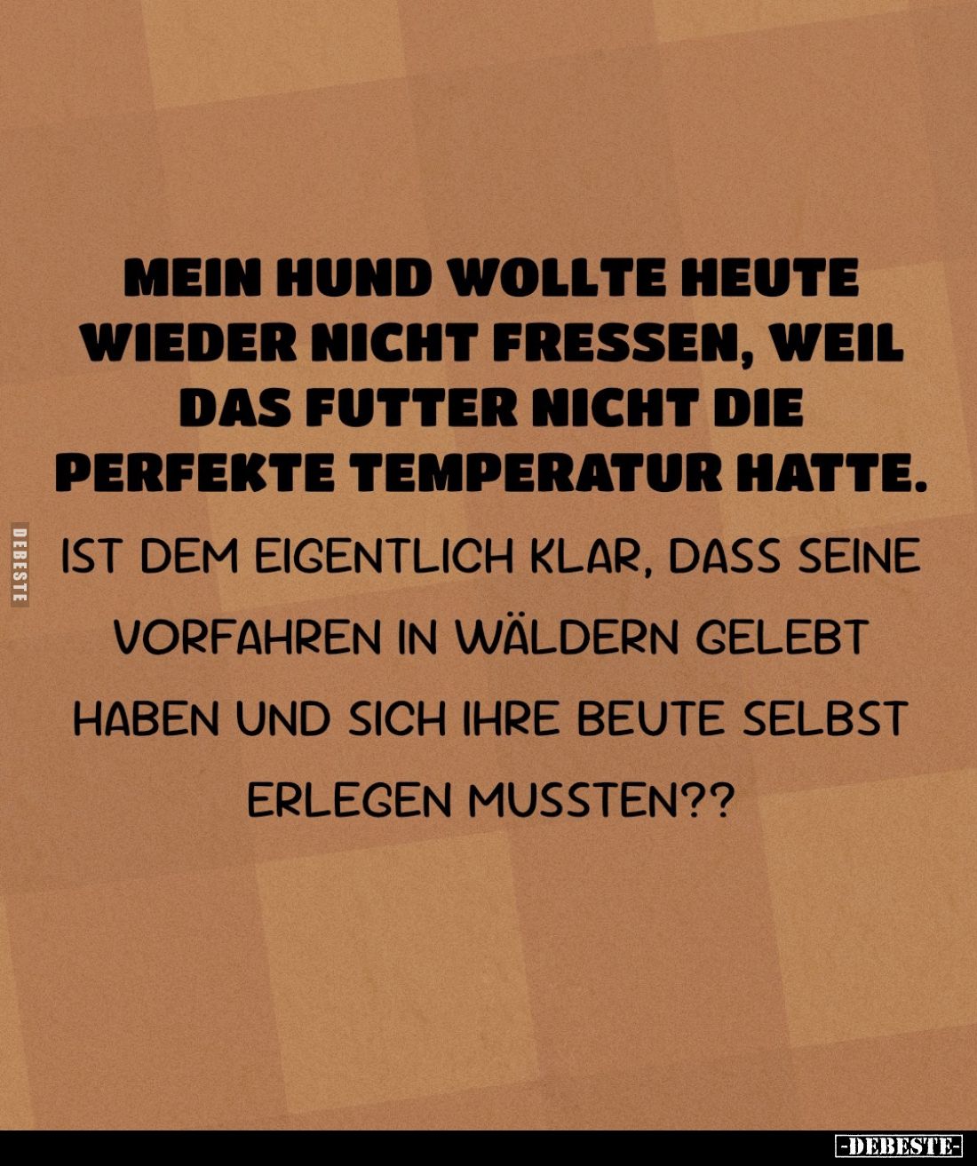 Mein Hund wollte heute wieder nicht fressen, weil das Futter nicht die perfekte Temperatur hatte.
Ist dem eigentlich klar, d...