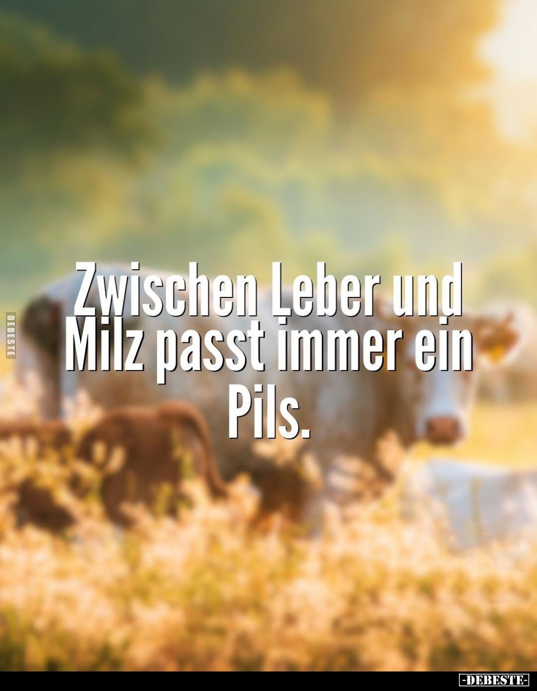 Zwischen Leber und Milz passt immer ein Pils.