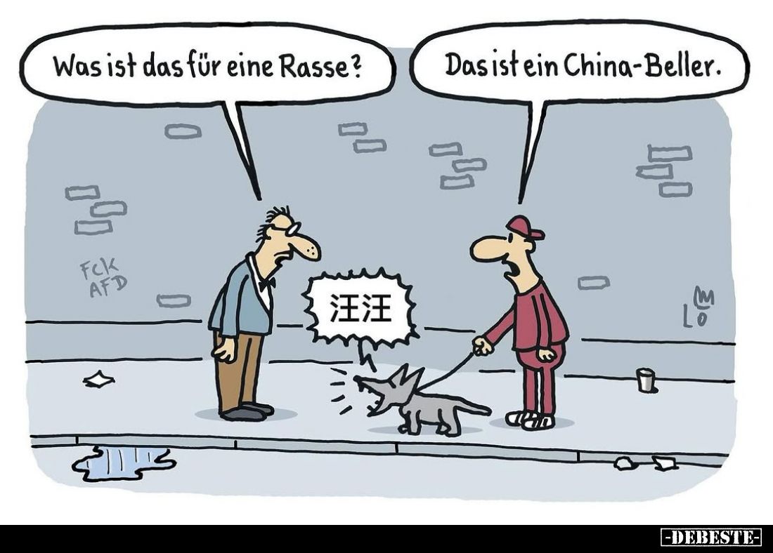 Was ist das für eine Rasse? -
Das ist ein China-Beller.