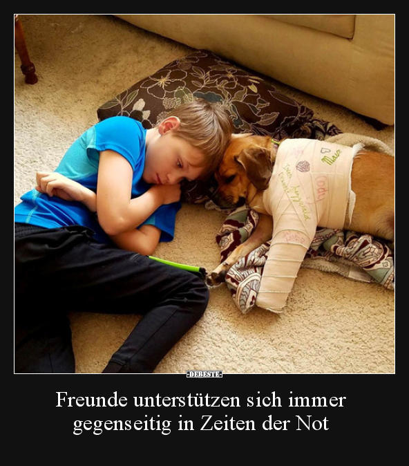 Freunde unterstützen sich immer gegenseitig in Zeiten der.. - Lustige Bilder | DEBESTE.de