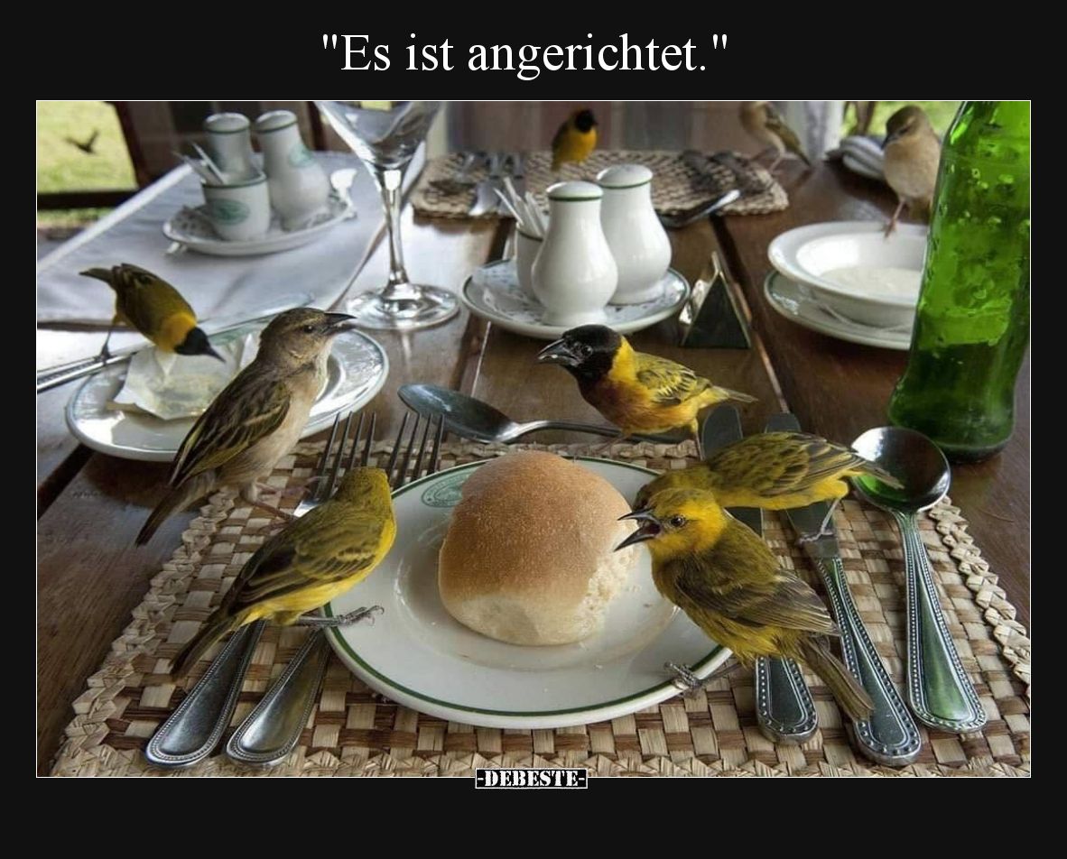 "Es ist angerichtet.".. - Lustige Bilder | DEBESTE.de