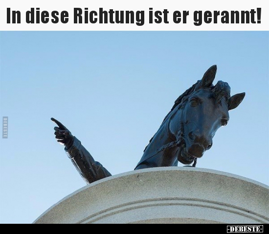 In diese Richtung ist er gerannt!..