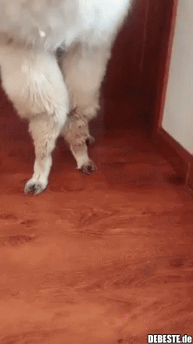 Süßes Schäfchen trägt einen Hut..