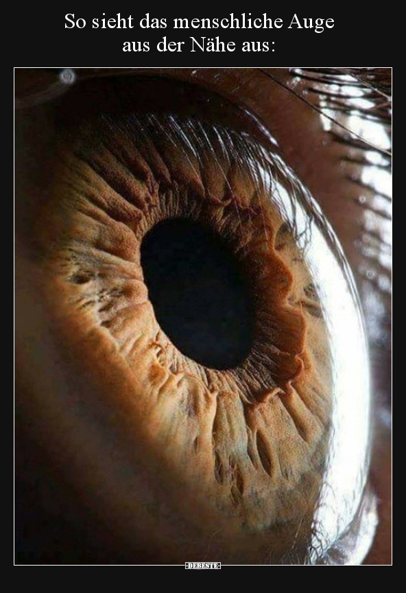 So sieht das menschliche Auge aus der Nähe aus.. - Lustige Bilder | DEBESTE.de
