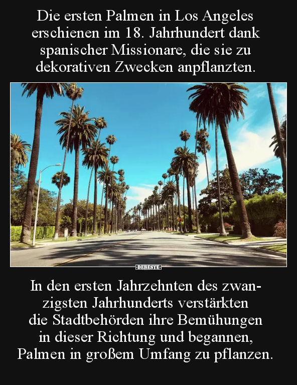 Die ersten Palmen in Los Angeles erschienen im 18... - Lustige Bilder | DEBESTE.de