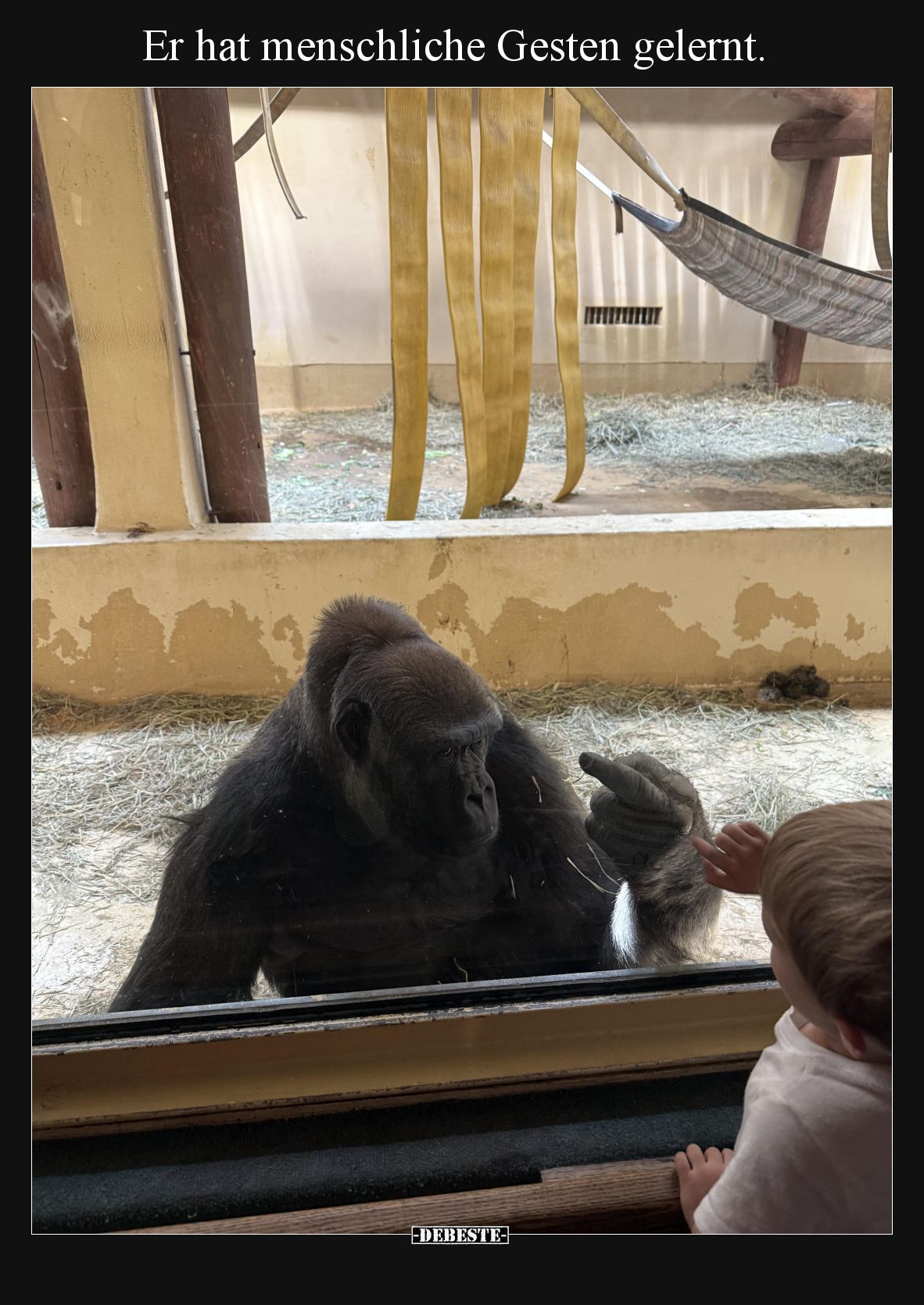 Er hat menschliche Gesten gelernt.