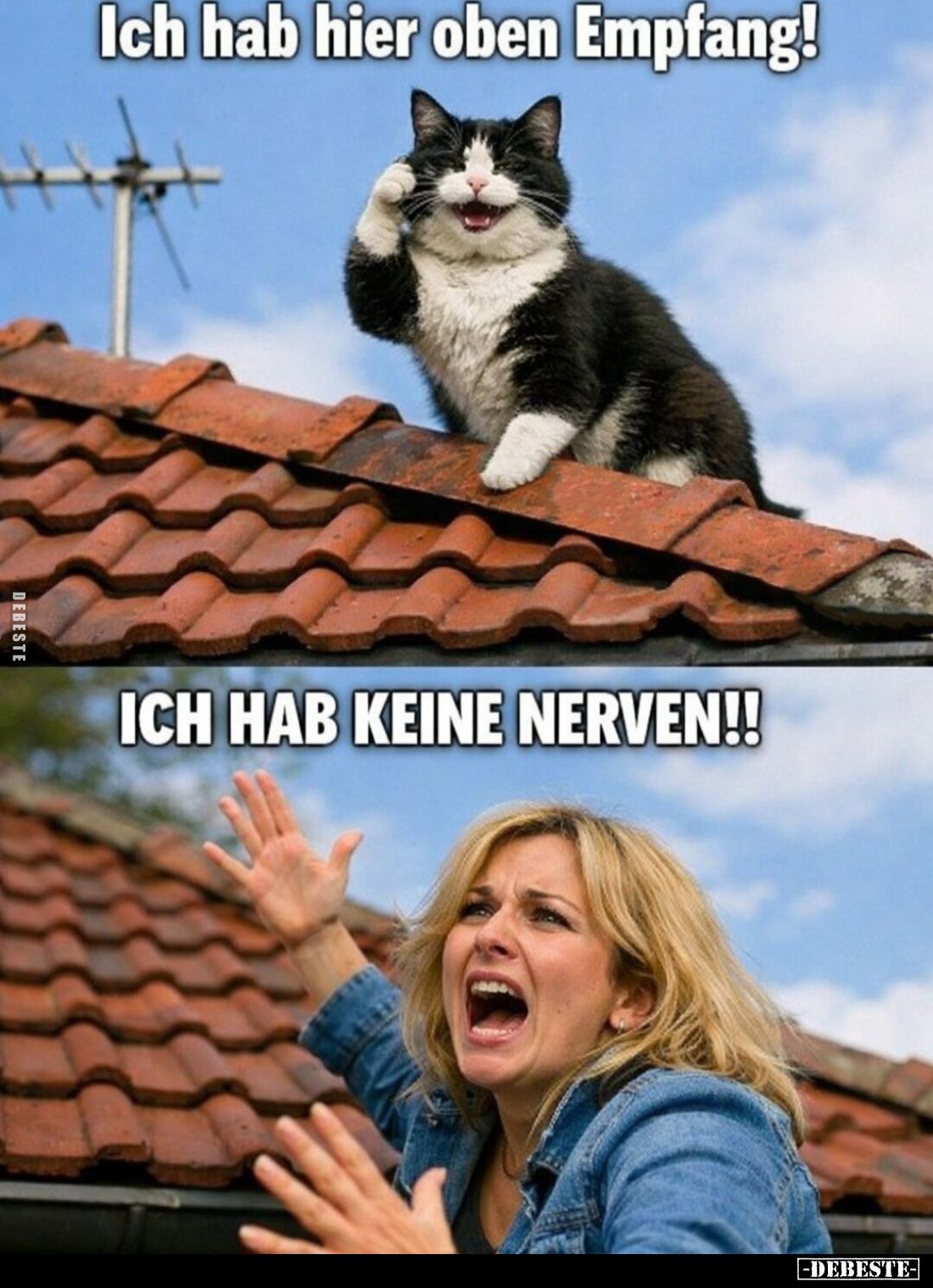 Ich hab hier oben Empfang!... - Lustige Bilder | DEBESTE.de